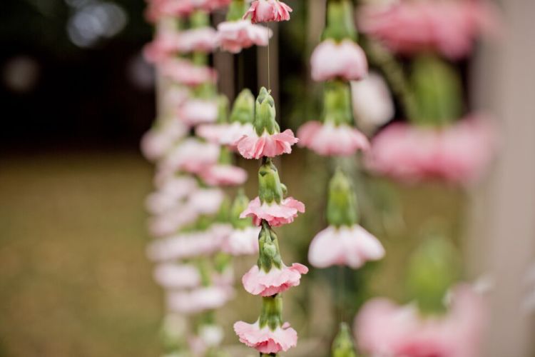 -RS0tckjuSGfOIpMn1738BZyTgmdhb6Gr66fO7v-lDw