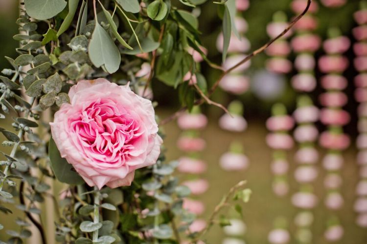 tW3pLriq3GHIbjFz5nJMQPpnqbQdE-ykV_18B_NllYQ