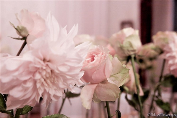 lrm_export_20170102_1747261